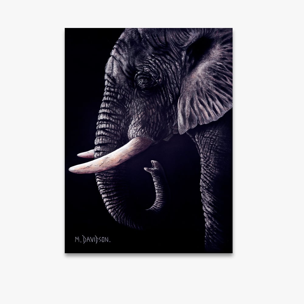 African Dreams the Elephant - Canvas Print - Image 1