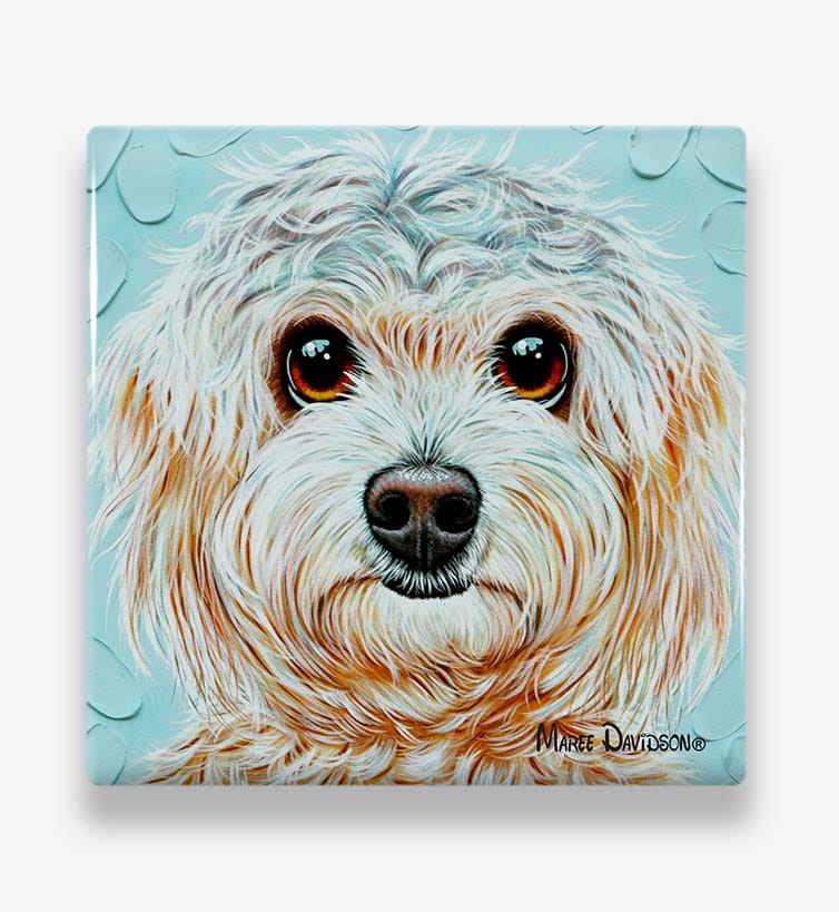 AQUA_SHIH_TZU.jpg Shih Tzu Dog - Ceramic Coaster - Image 1