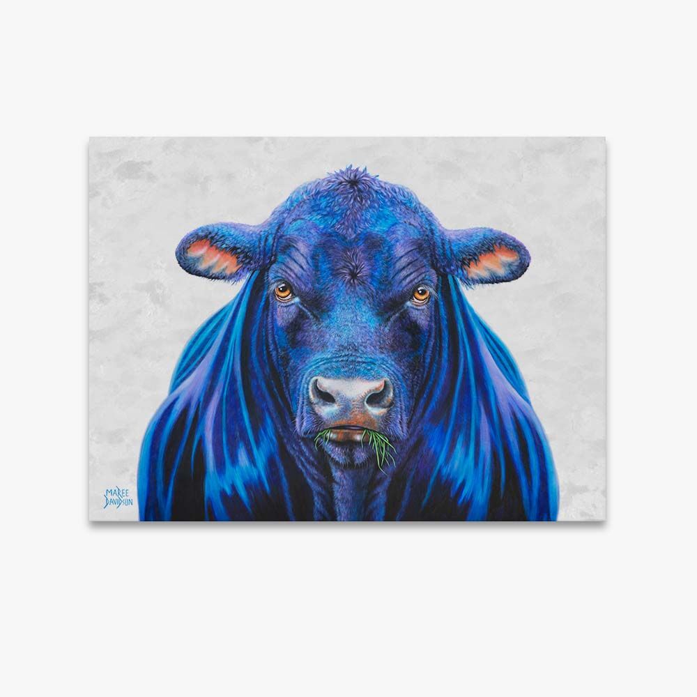 Ace the Bull - Original Prints - Image 1