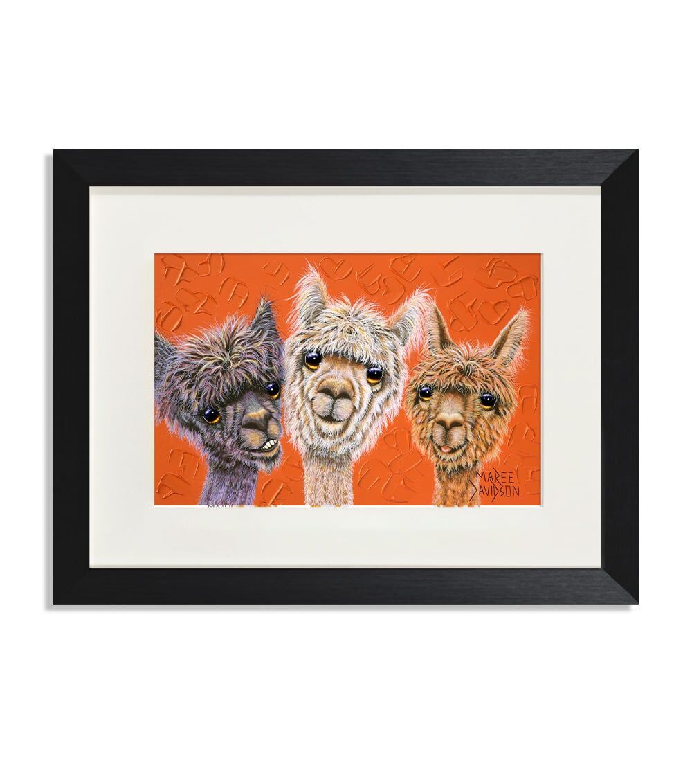 Alpaca-Painting-Just-Hanging-Out-Maree-Davidson-Art.jpg Just Hanging Out the Alpacas - Print - Image 1