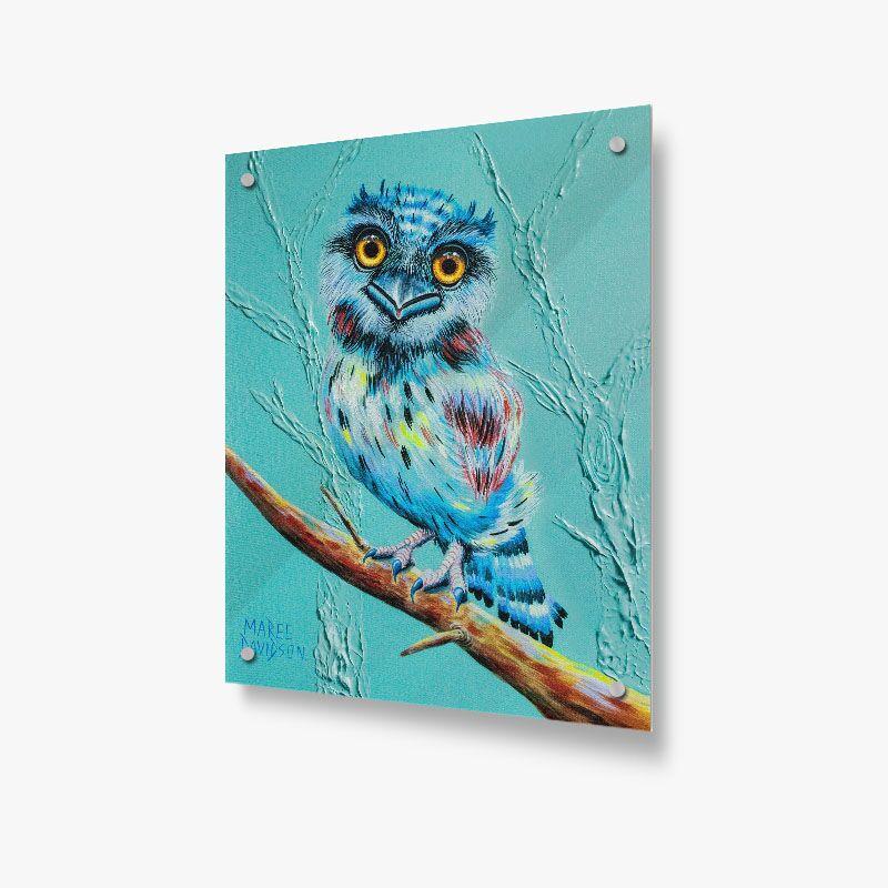 Aqua Tawny Frogmouth Owl - Acrylic Glass Panel - Image 1
