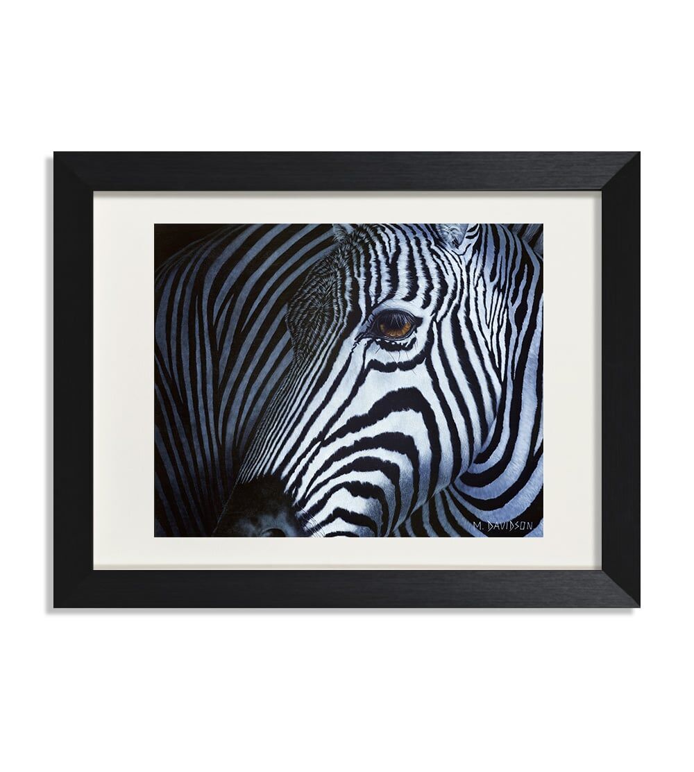 Arbez the Zebra - Print - Image 1