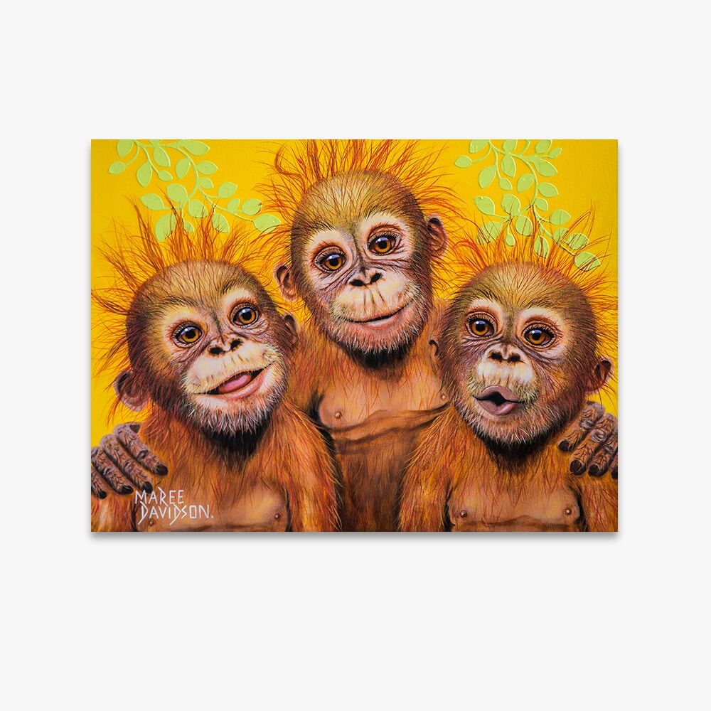 Best Mates the Orangutans - Canvas Print - Image 1