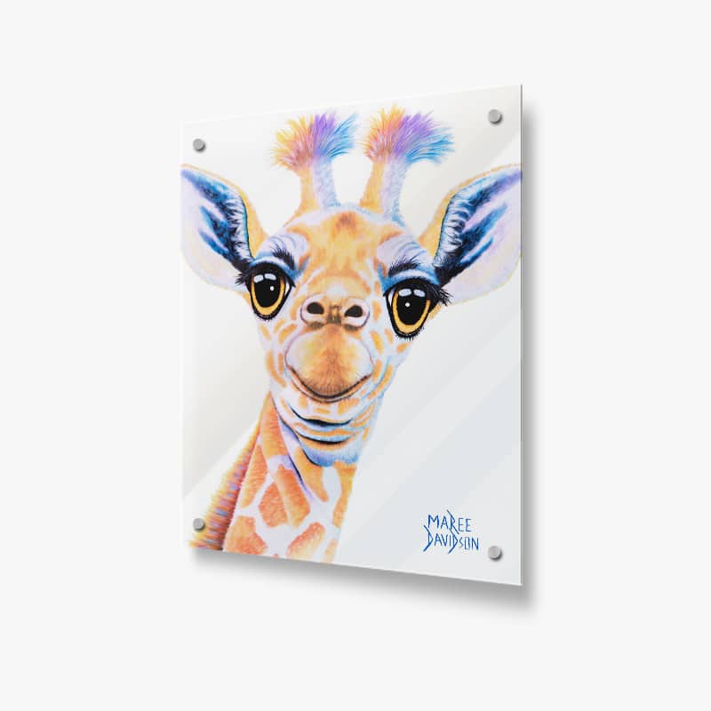 Bobby the Baby Giraffe - Acrylic Glass Panels - Image 1