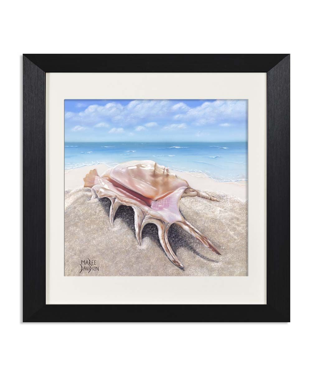 Beachcomber-1.jpg Beachcomber the Seashell - Print - Image 1