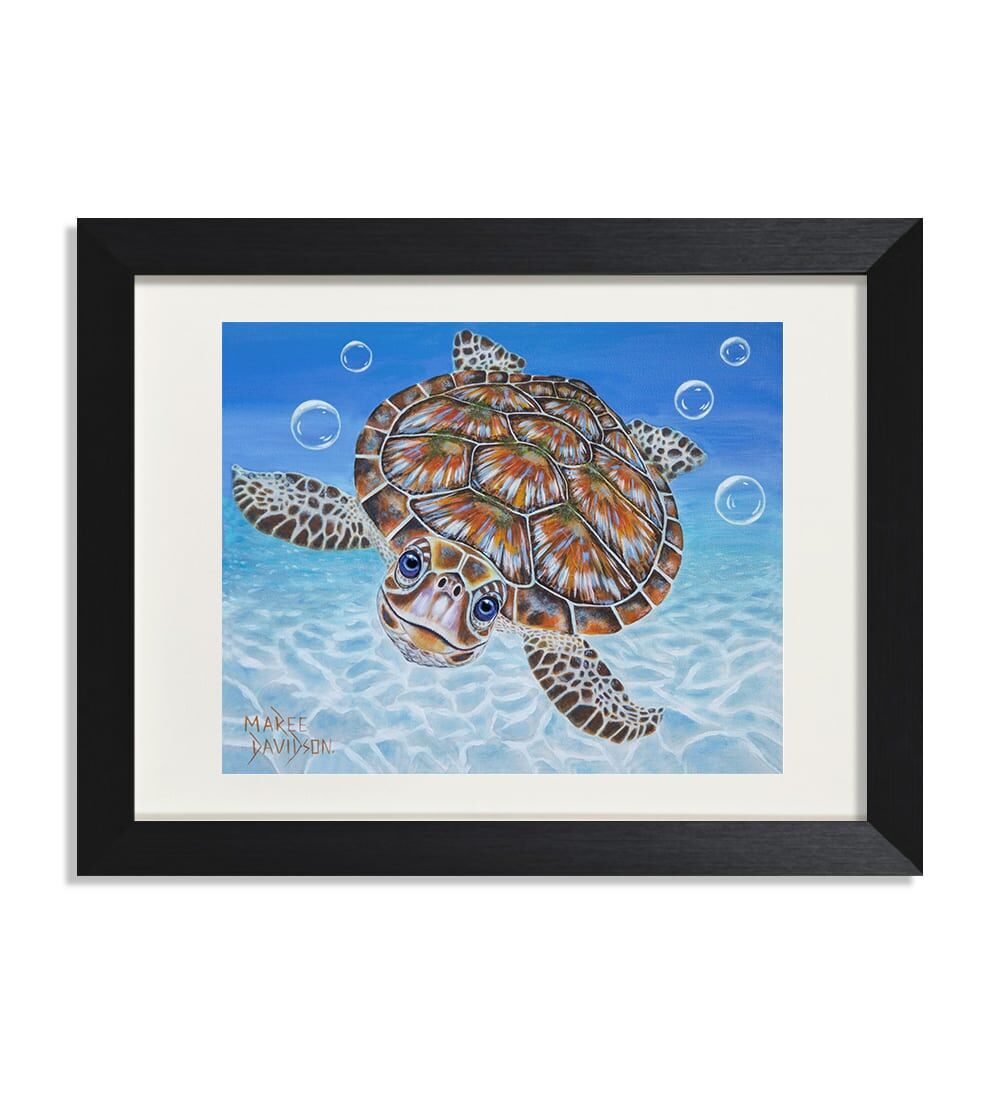 Bubbles-Maree-Davidson-Art.jpg Bubbles the Turtle - Print - Image 1