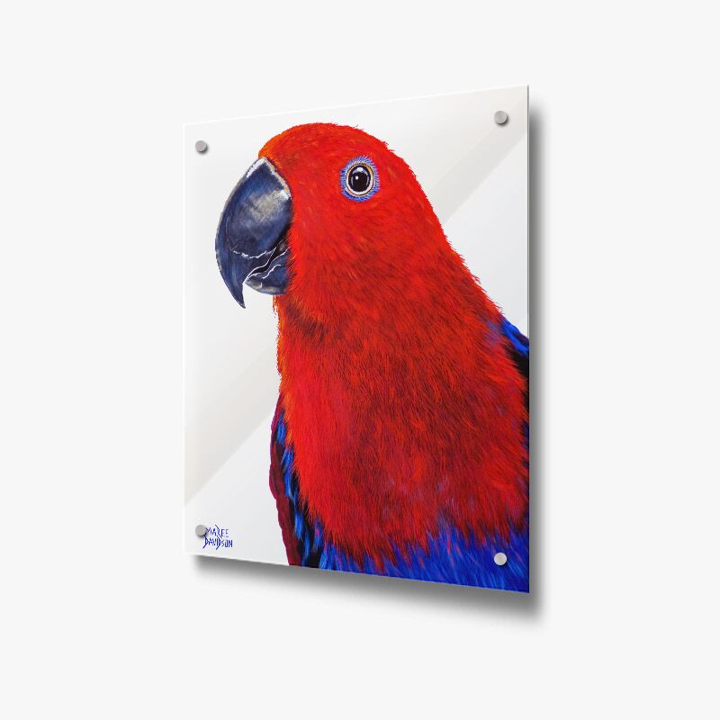 Chloe the Eclectics Parrot Bird - Acrylic Glass Panel - Image 1