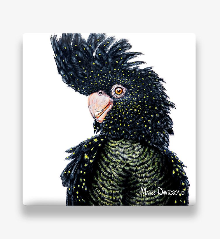 Luna the Black Cockatoo - Ceramic Coaster - Image 1