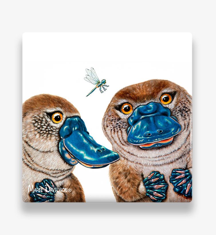 Becky and Bruce the platypuses - Ceramic Coaster - Image 1