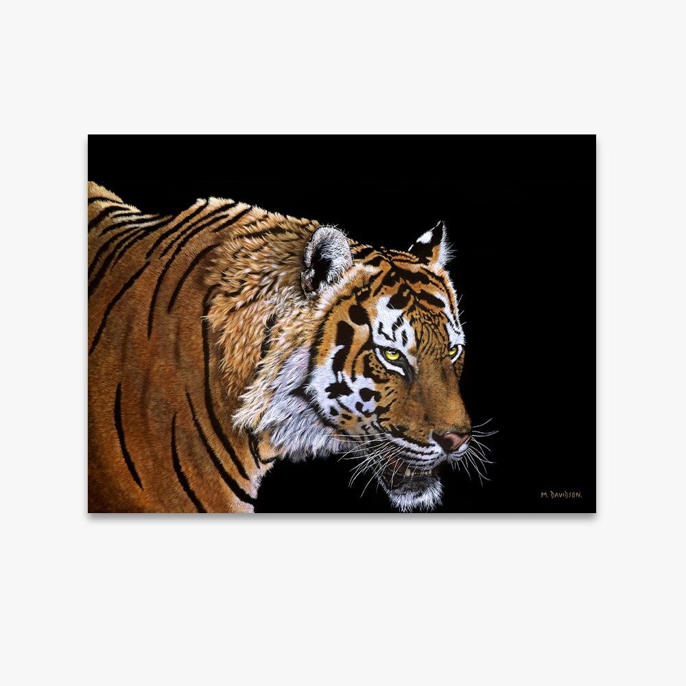 Deadly Approach Sumatran Tiger - Canvas Prints - Image 1