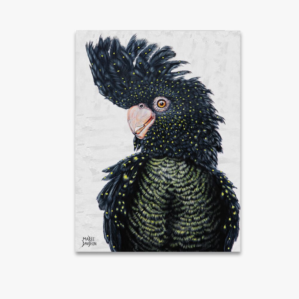 Luna the Black Cockatoo - Original Prints - Image 1