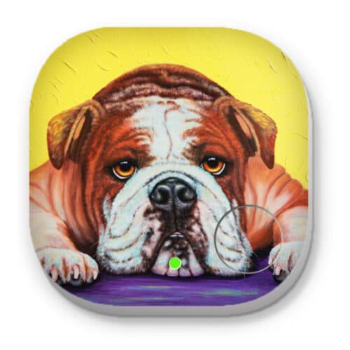 Angel the English Bulldog - Phone and Key Finders - Image 1