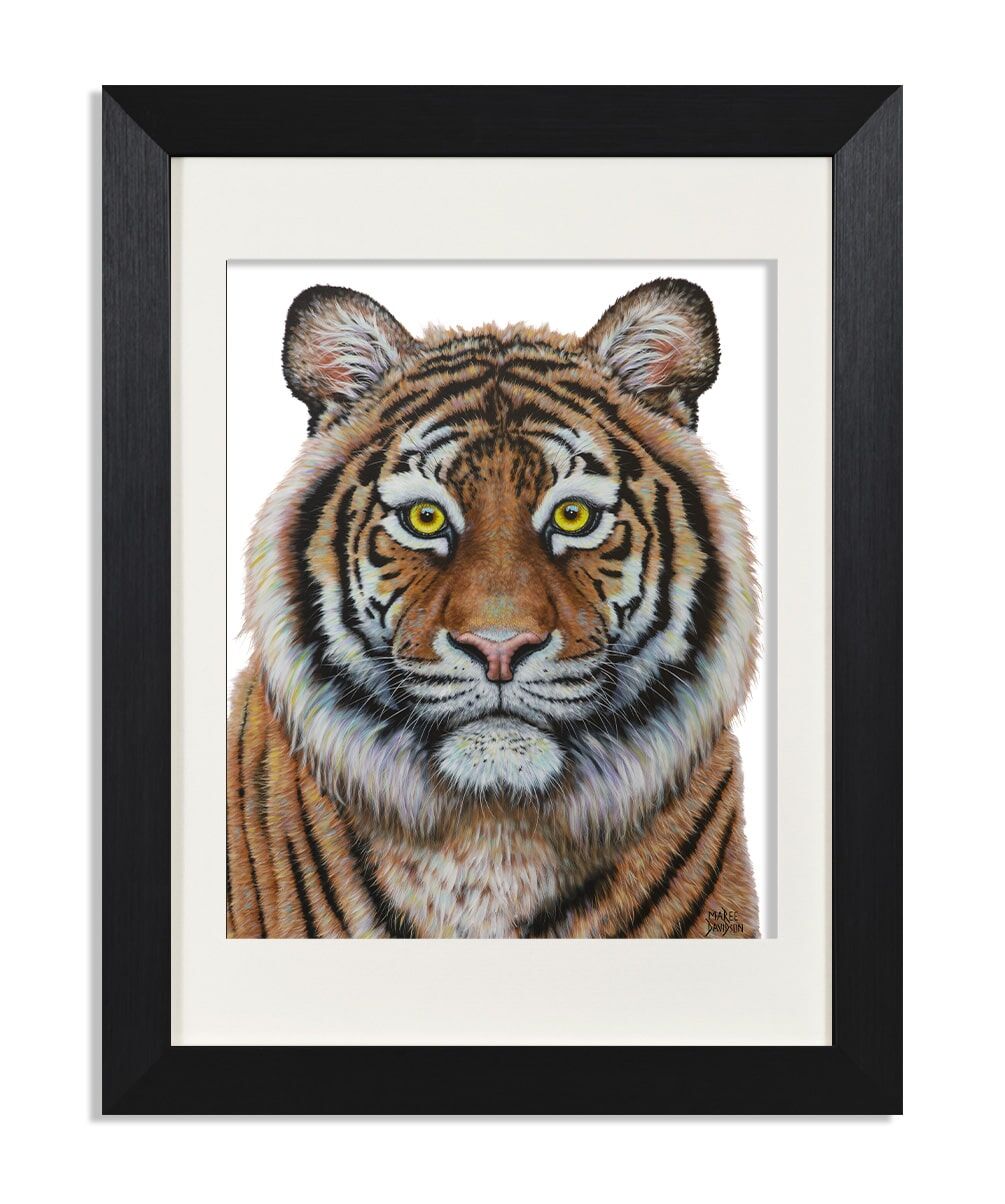Eye of the Tiger - Print - Image 1