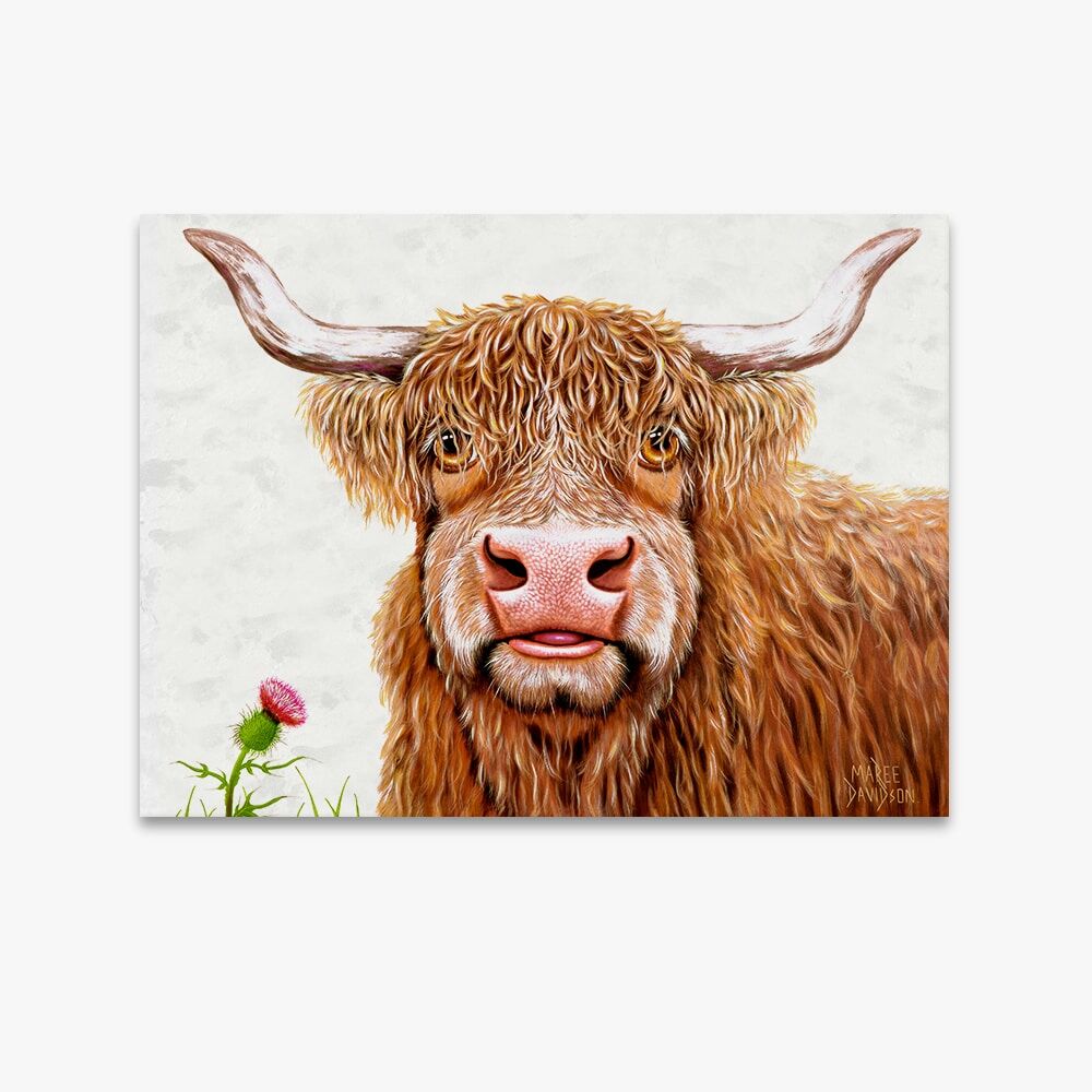Fergus the Highland Cow - Original Prints - Image 1