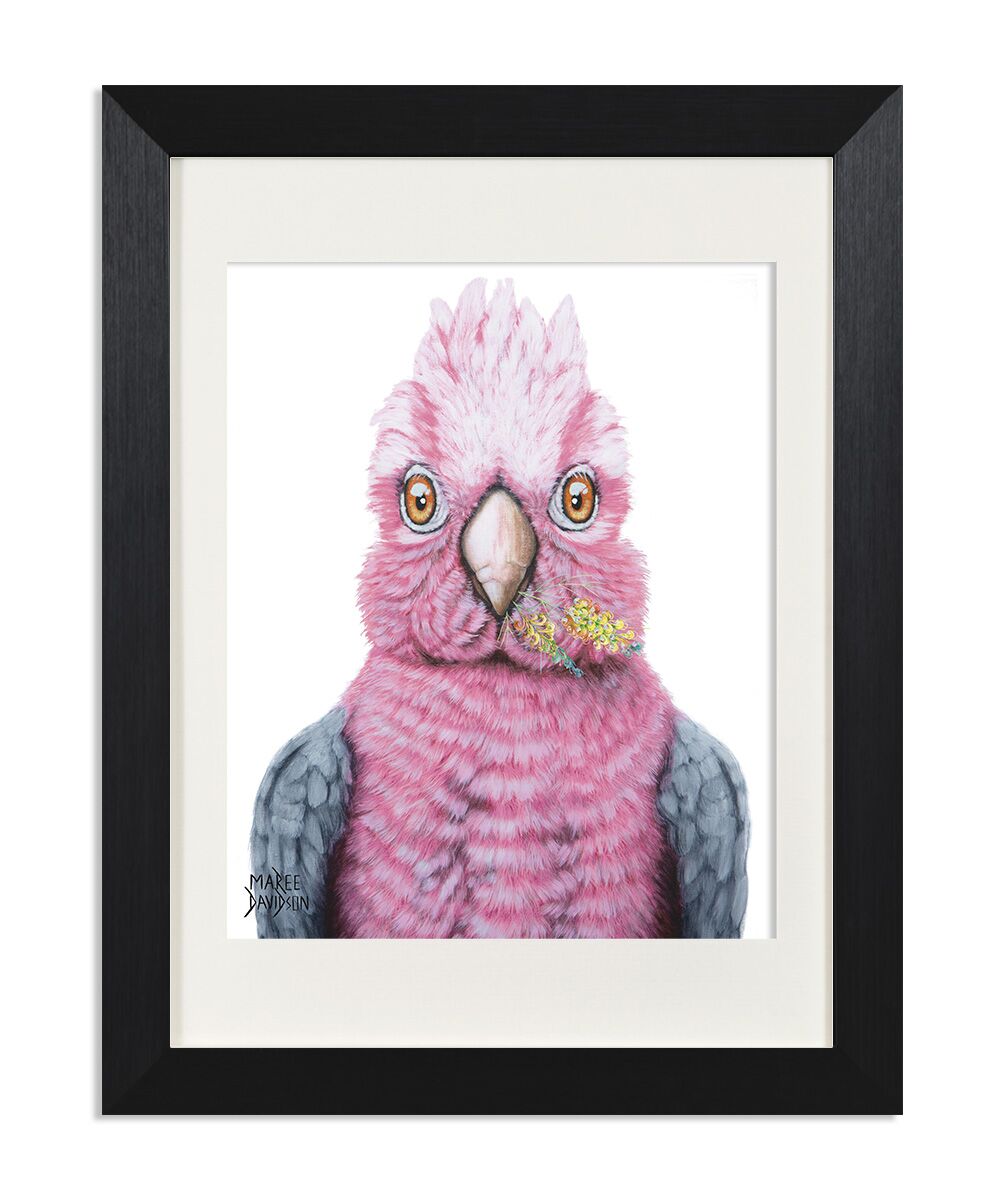 Trixie Frame Trixie the Galah Bird - Print - Image 1