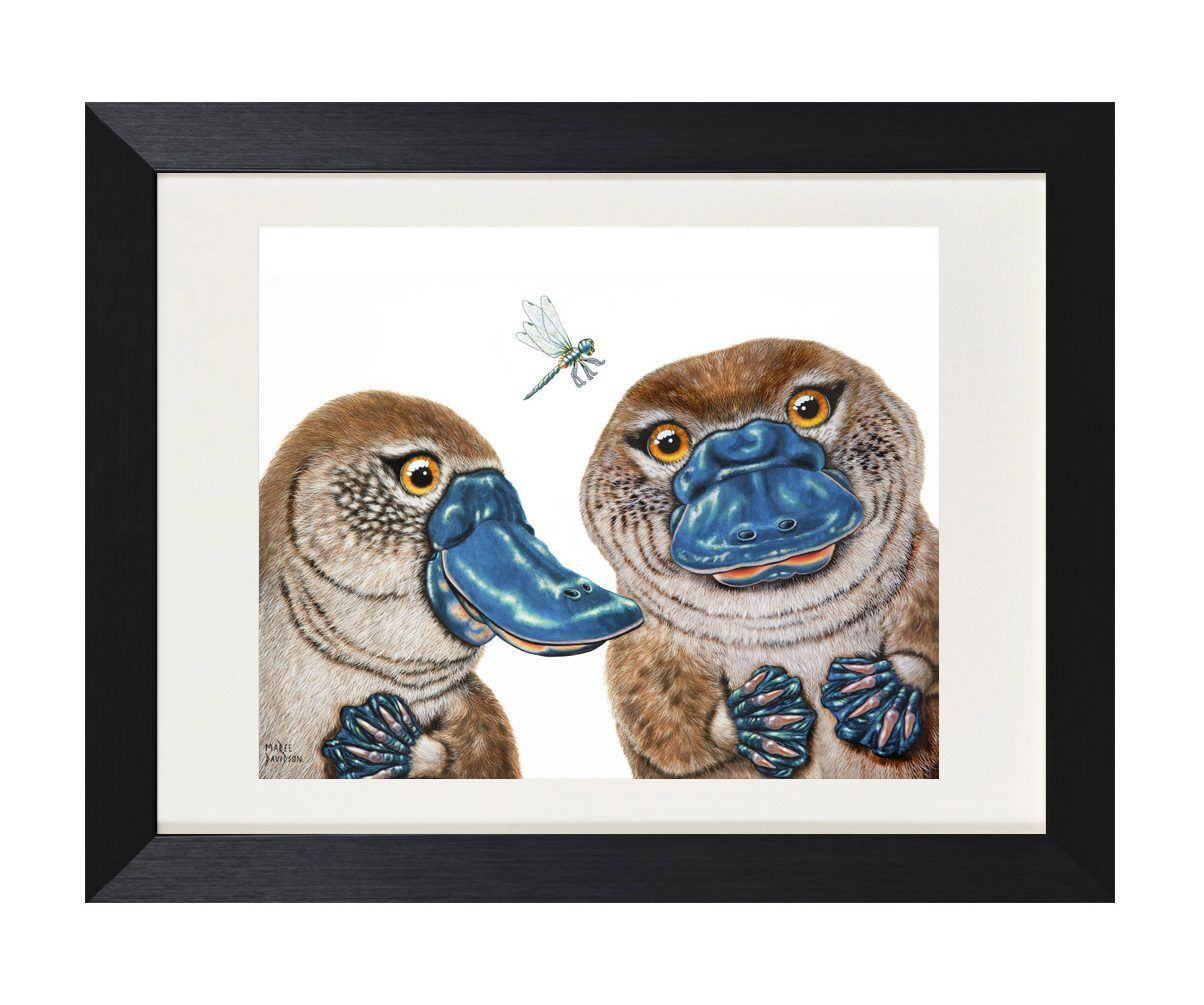 Becky and Bruce the Platypuses - Print - Image 1