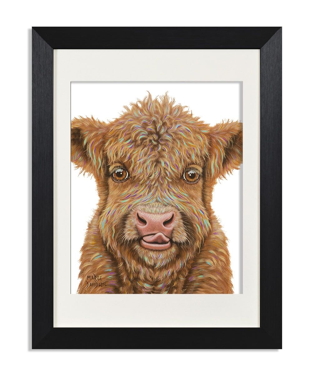 Junior the Baby Highland Cow - Print - Image 1