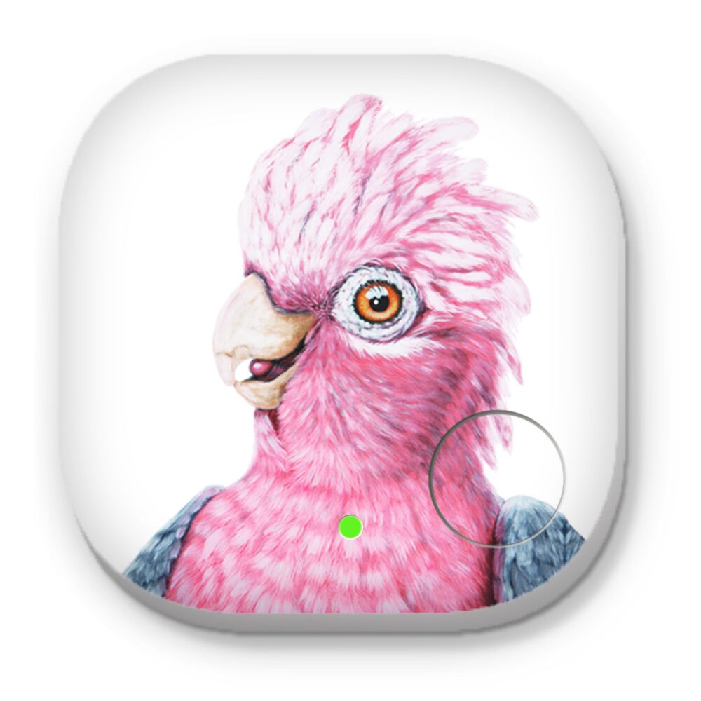 Dixie the Galah Bird - Phone and Key Finders - Image 1