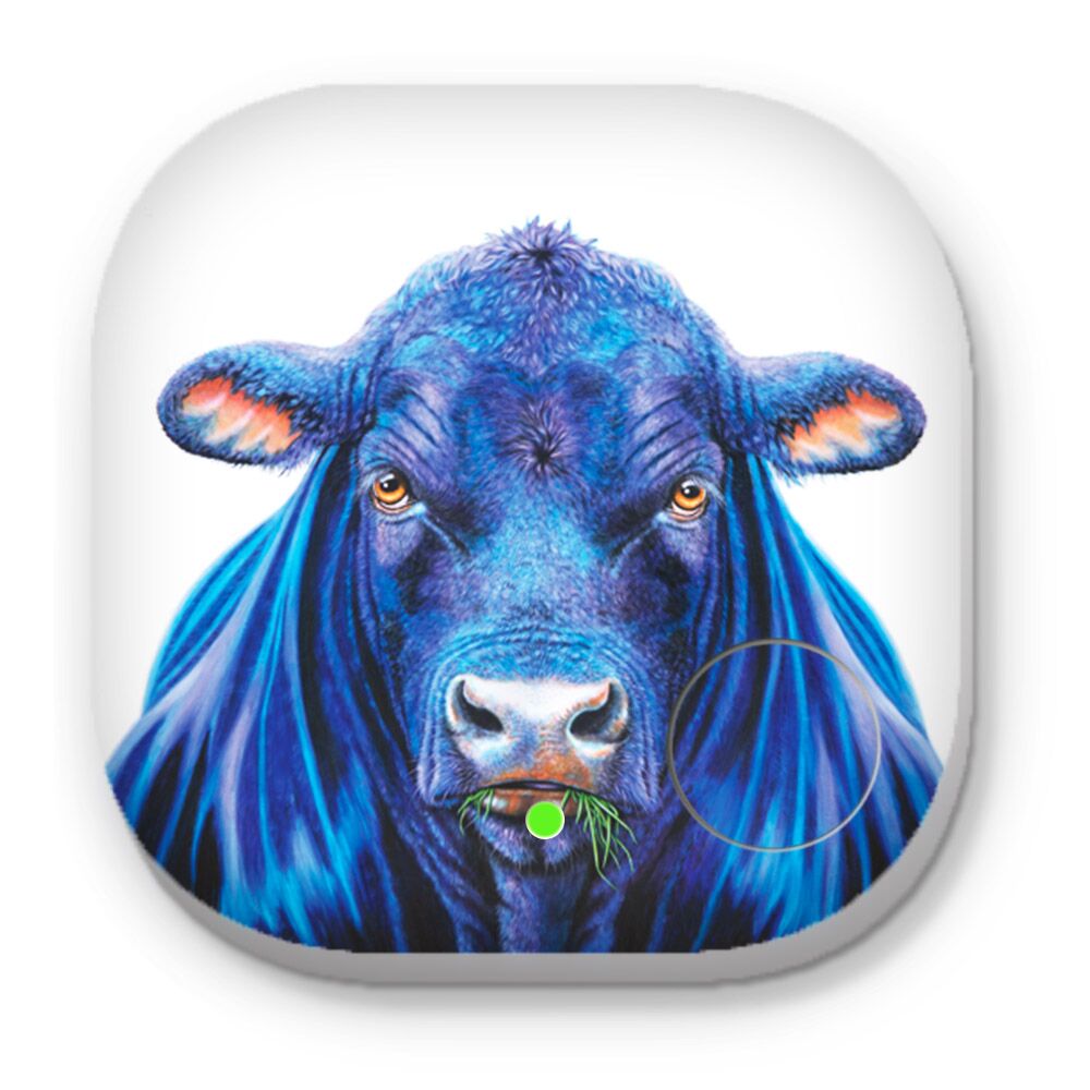 Ace the Angus Bull - Phone & Key Finders - Image 1