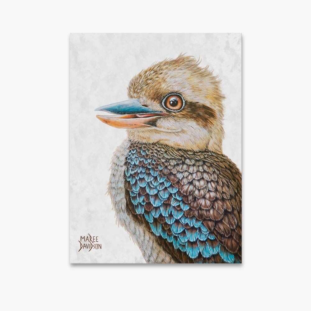 Australian Kookaburra - Original Prints - Image 1