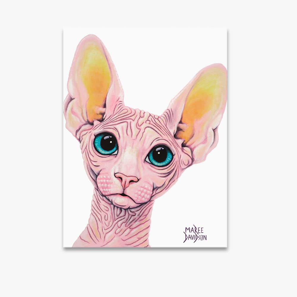 MADAME_MEOW2-1.jpg Madame Meow the Sphynx Cat - Canvas Print - Image 1
