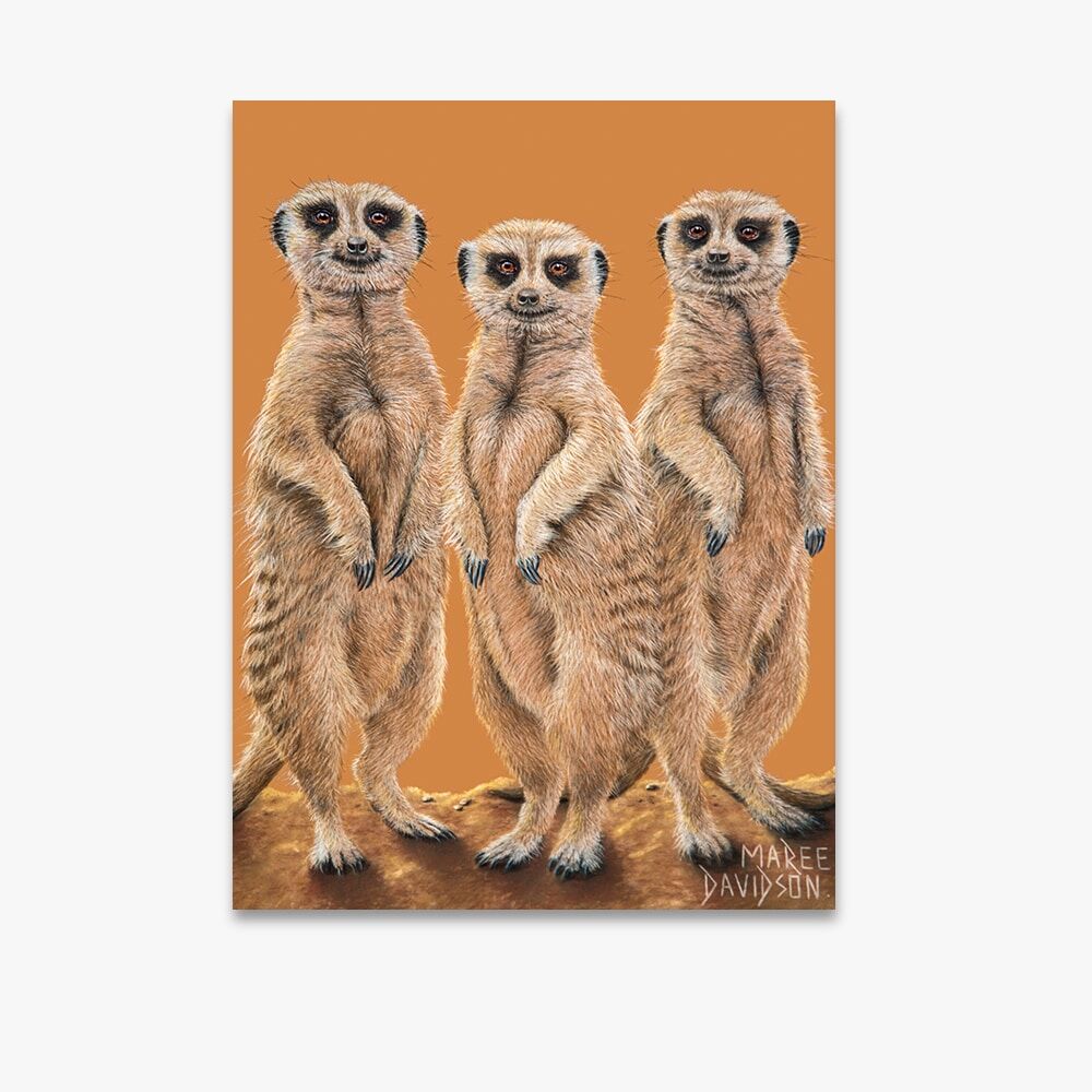 The Three Meerkats - Canvas Print - Image 1