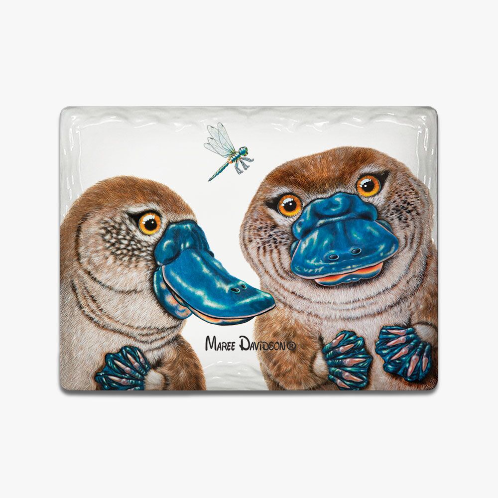 Becky and Bruce the platypuses - Ceramic Magnets - Image 1