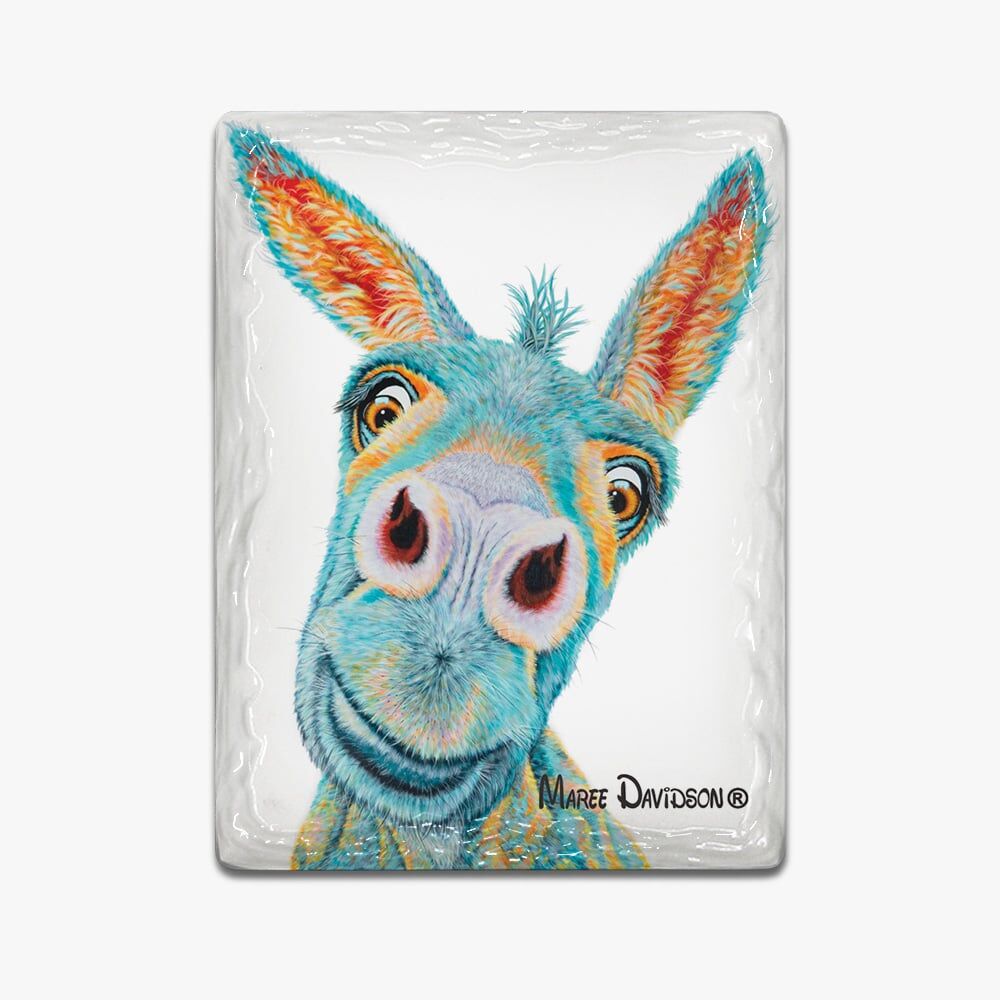 Frankie the Donkey - Ceramic Magnets - Image 1