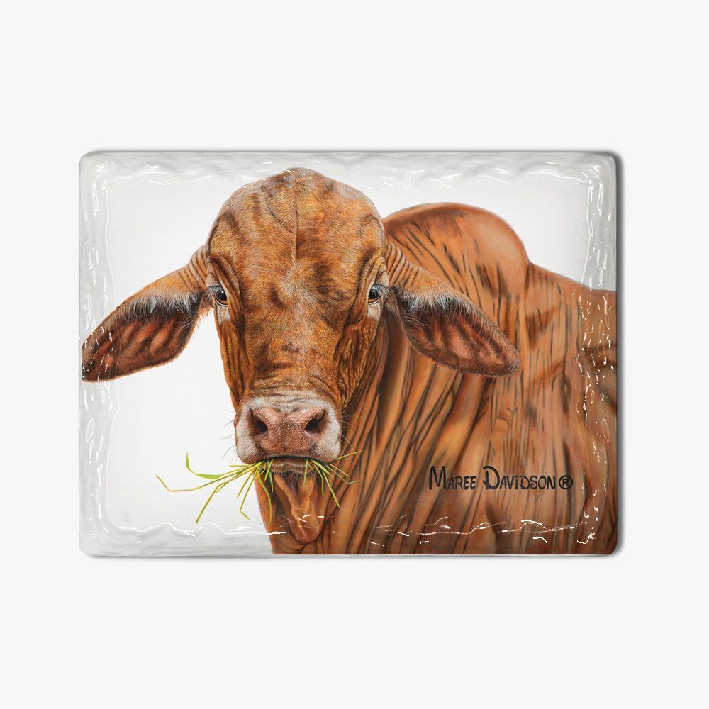 Magnet-4-rotated-2.jpg Bruno The Brahman Bull - Ceramic Magnets - Image 1