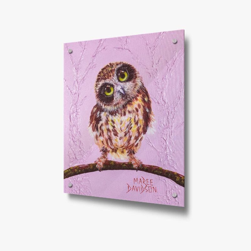 Make Room for me the Owl - Acrylic Glass Panel - Image 1