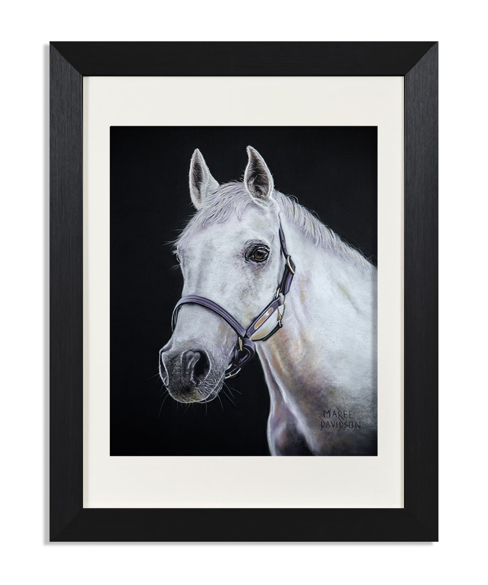 Mickey the Horse - Print - Image 1