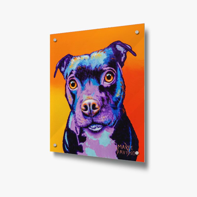Missy the Baby Staffy Dog - Acrylic Glass Panel - Image 1