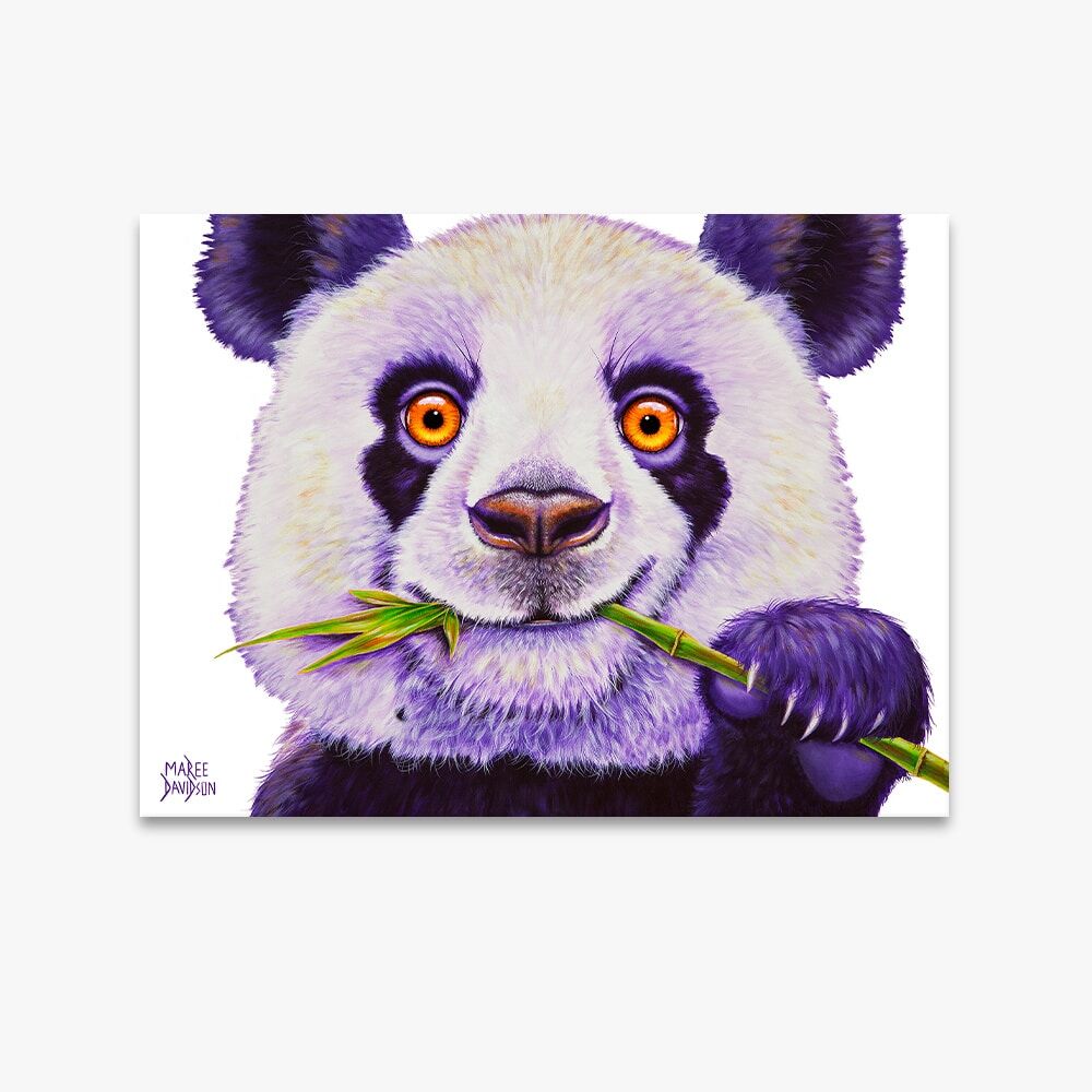 PING-THE-PANDA-1.jpg Ping the Panda - Canvas Print - Image 1