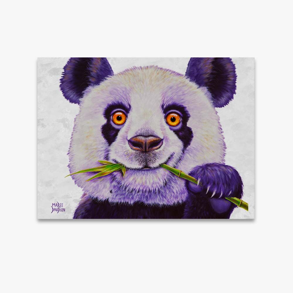 Ping the Panda - Original Prints - Image 1