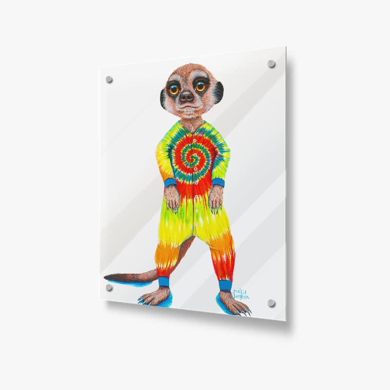 Pj The Meerkat - Acrylic Glass Panel - Image 1