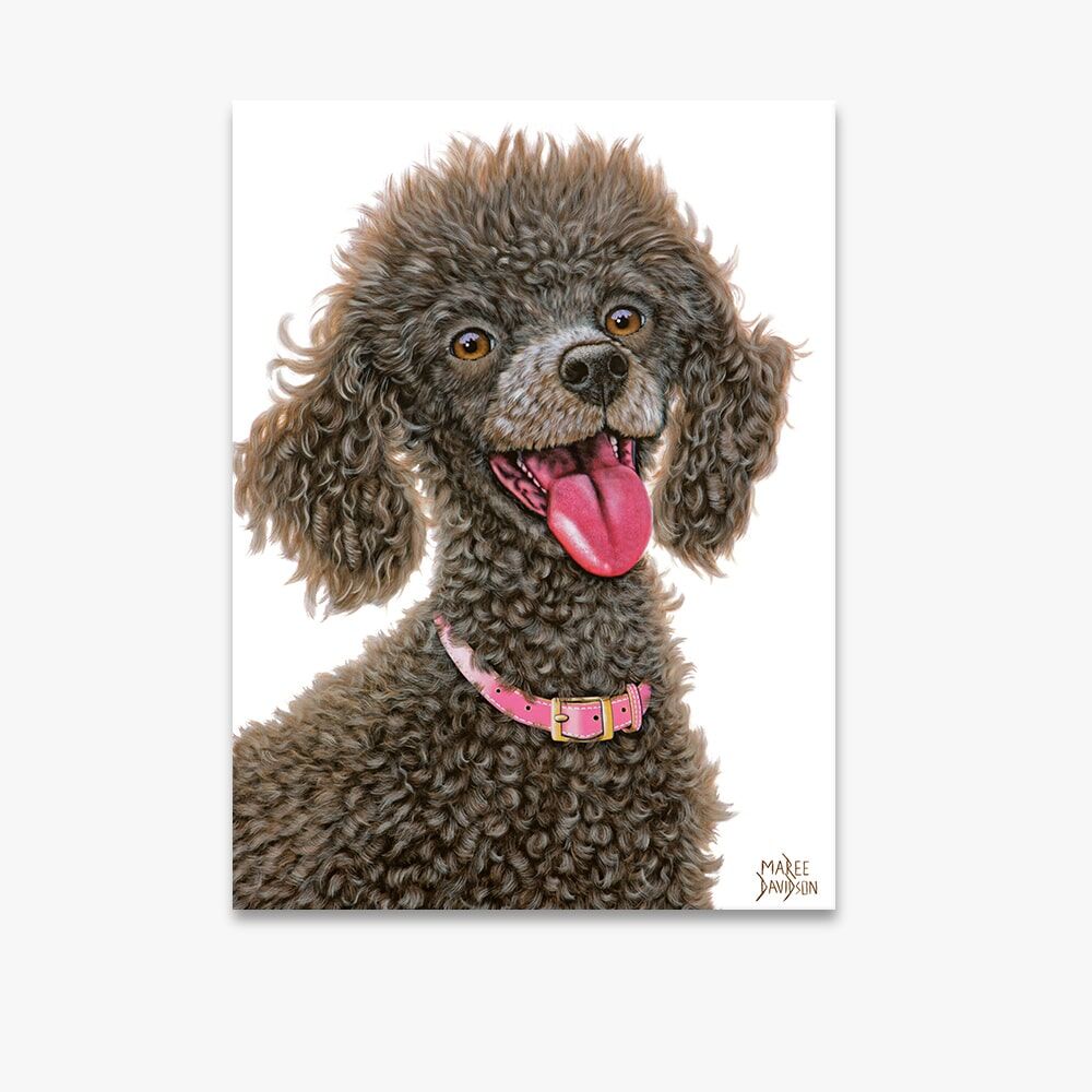 POODLE-2.jpg Chocolate Poodle Dog - Canvas Print - Image 1