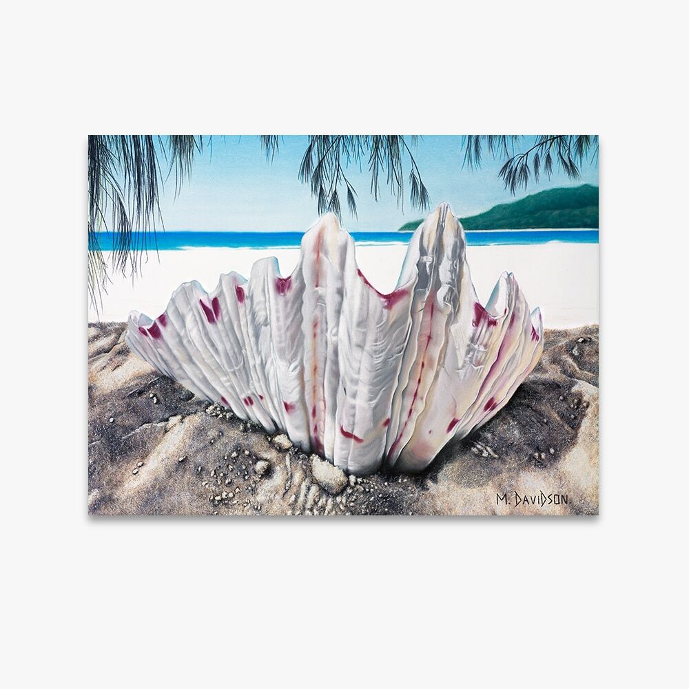 SEALIFE COLLECTION - SEASHELL HAVEN - Image 1