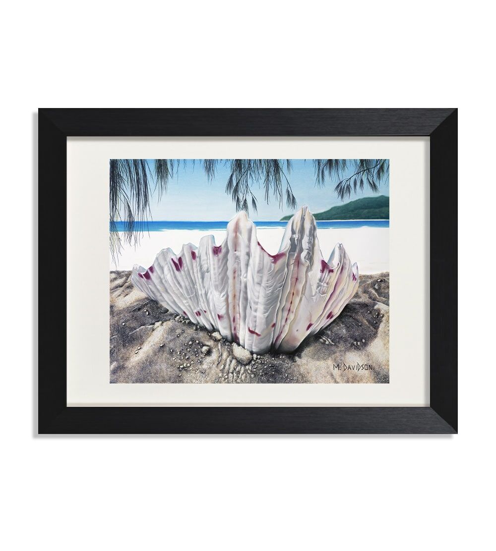 Seashell-Maree-Davidson-Art.jpg Haven the Seashell - Print - Image 1