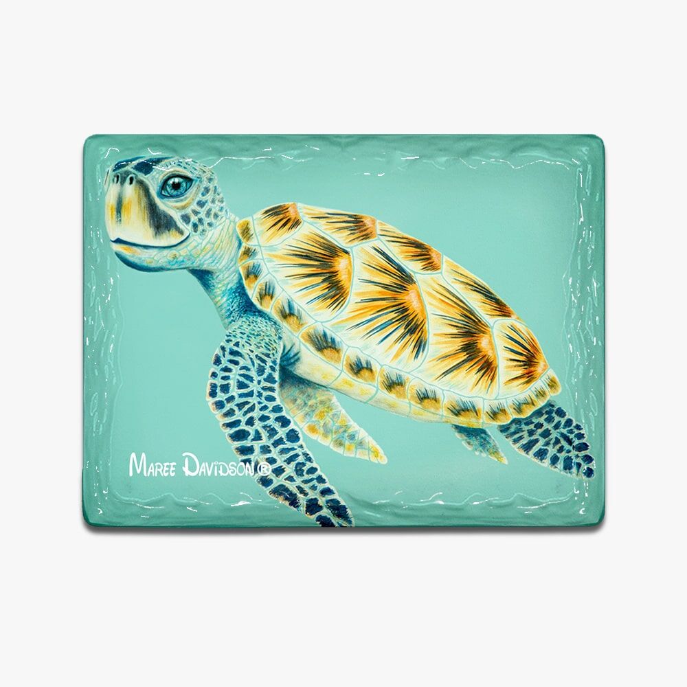 Shelby the Turtle - Ceramic Magnets - Image 1