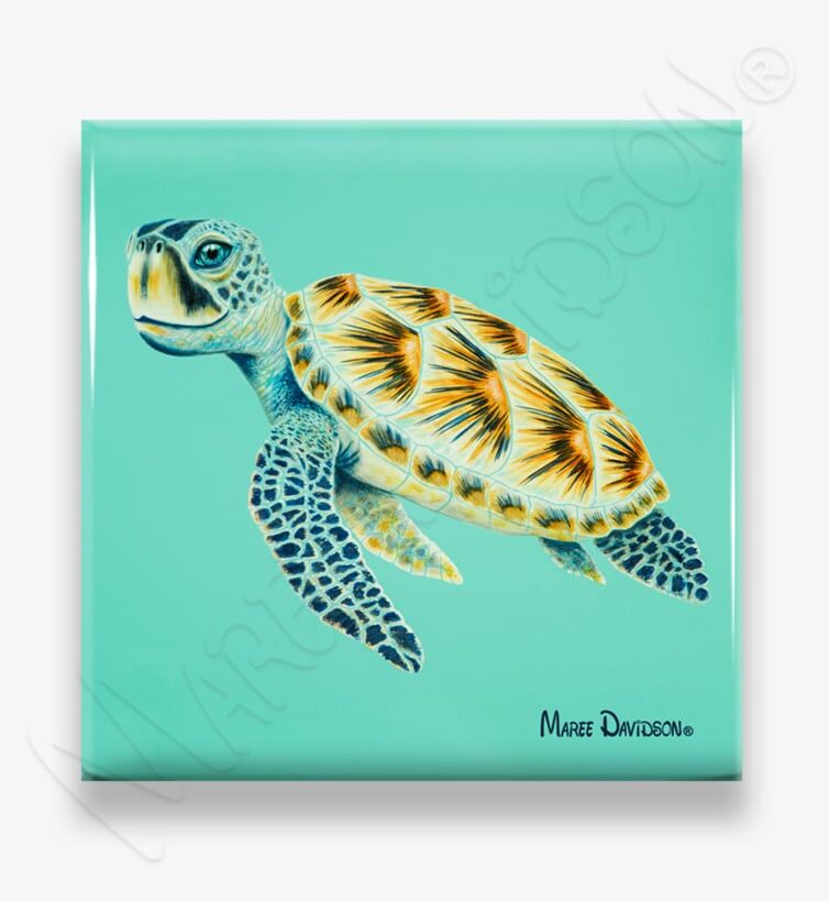 Shellby-Ceramic-Coaster-Maree-Davidson.jpg Shelby the Turtle - Ceramic Coaster - Image 1