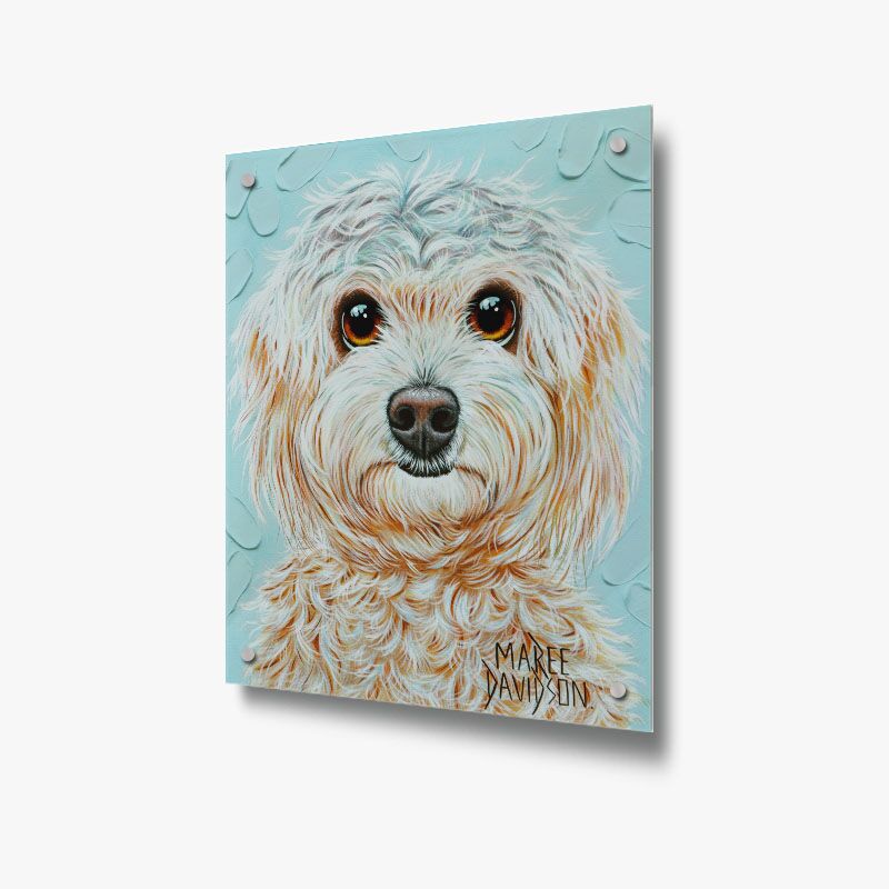 Shih Tzu Dog  - Acrylic Glass Panel - Image 1
