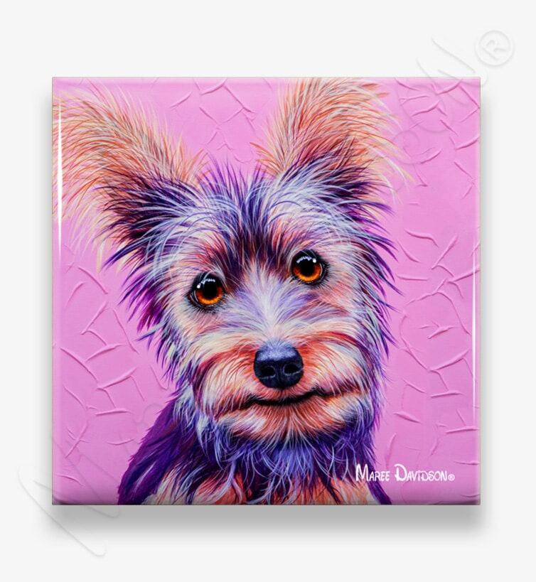 Silky Terrier Dog - Ceramic Coaster - Image 1