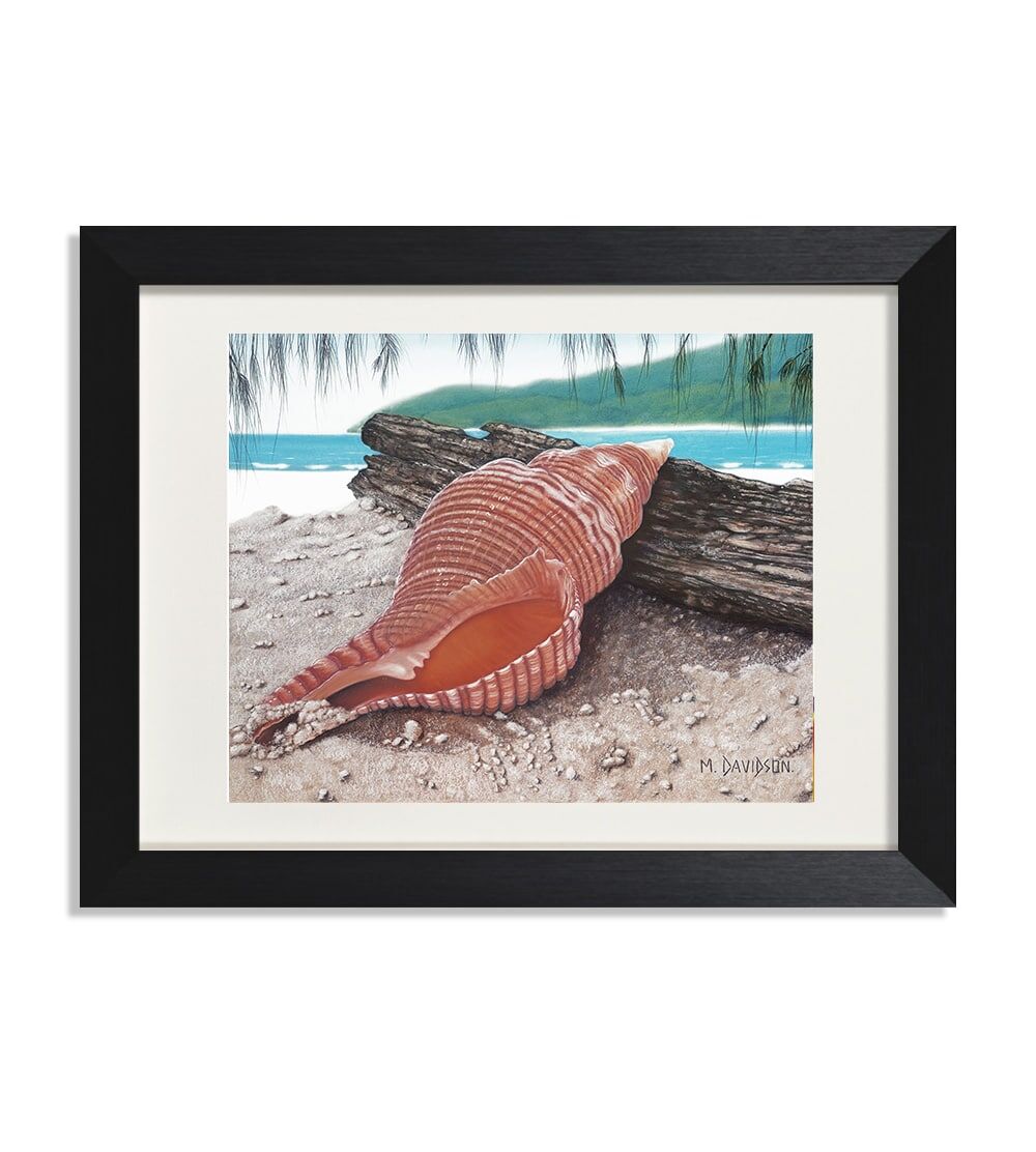 Song of the Sea Seashell - Print - Image 1