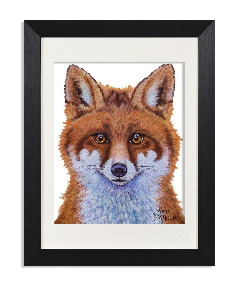 Swift-Maree-Davidson-Art.jpg Swift the Little Red Fox - Print - Image 1