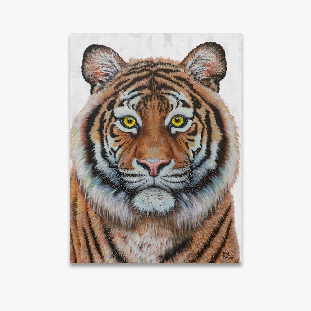 Eye of the Tiger - Original Prints - Image 1