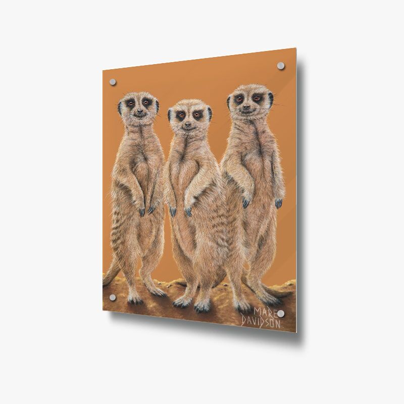The Three Meerkats - Acrylic Glass Panel - Image 1