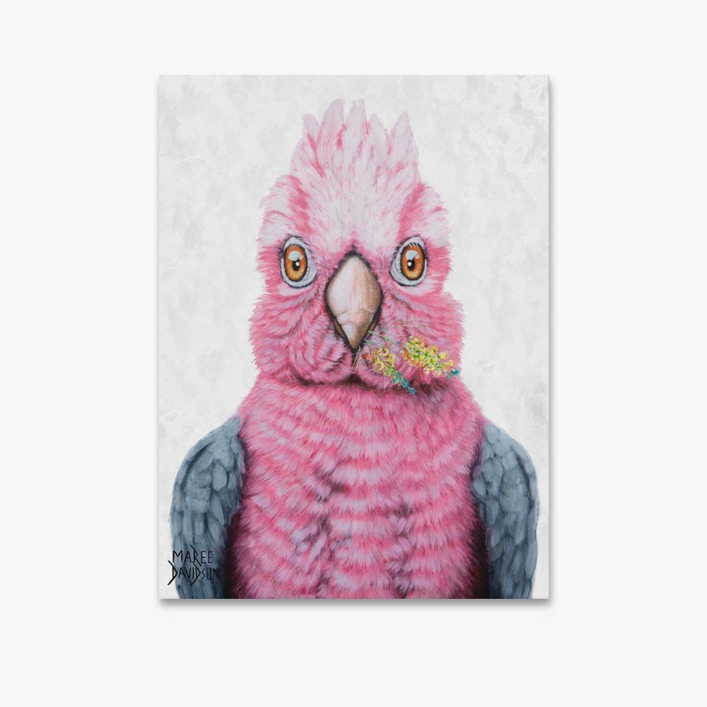 Trixie the Galah Bird - Original Prints - Image 1