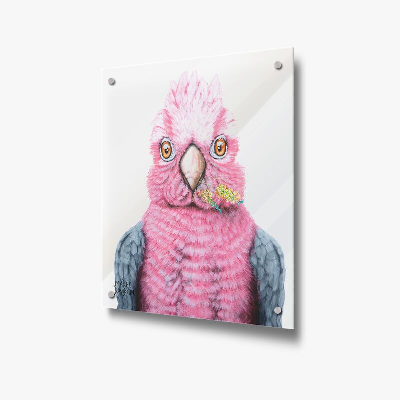 Trixie the Galah Bird - Acrylic Glass Panel - Image 1