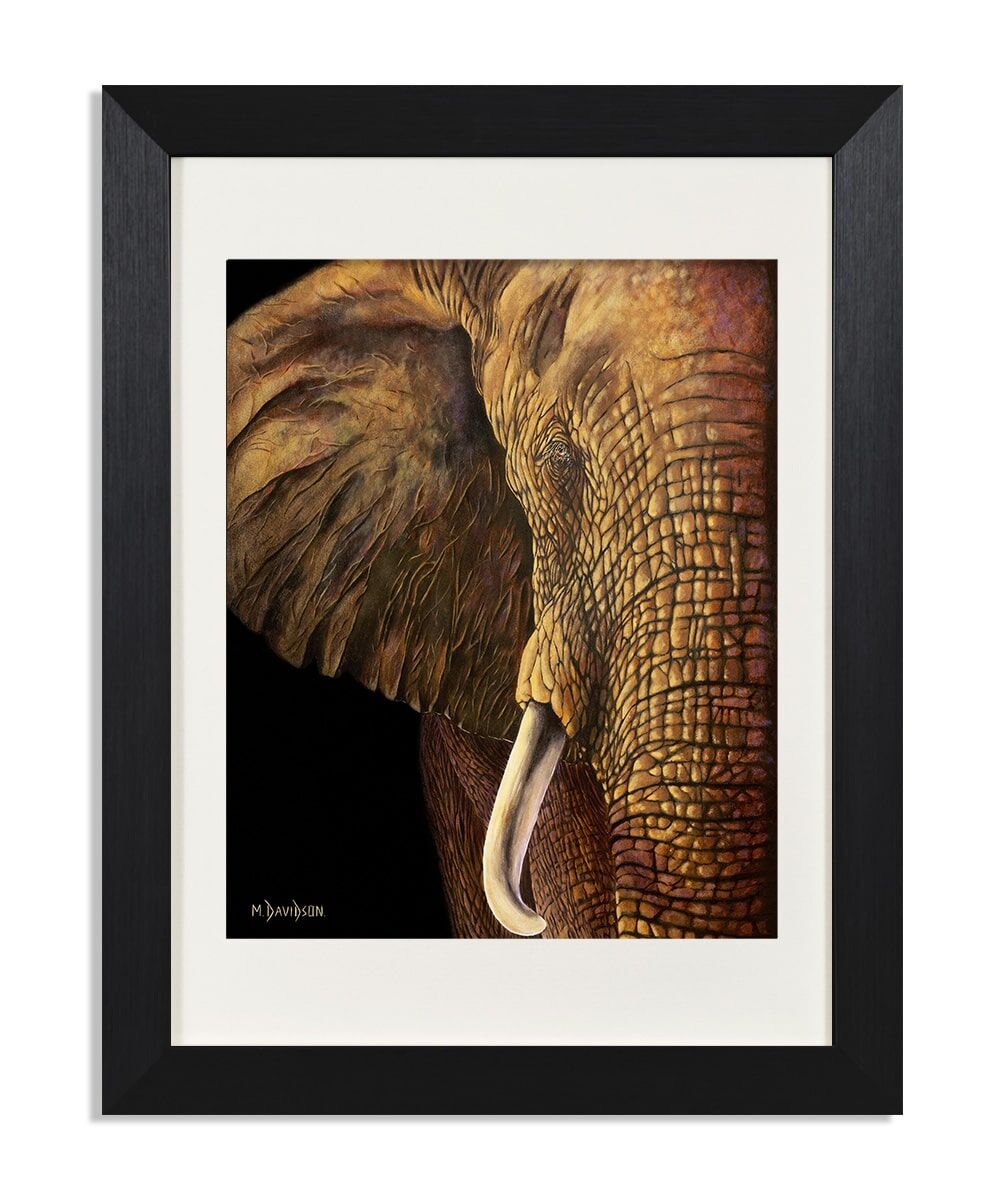 Wisdom the Elephant - Print - Image 1