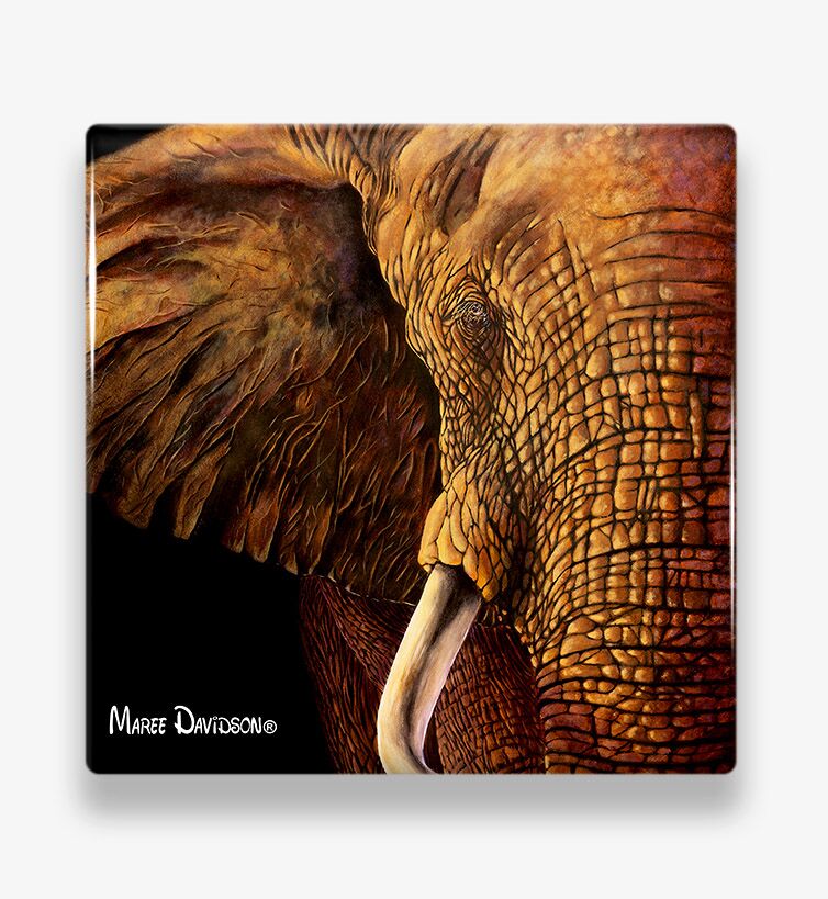 Wisdom the Elephant - Ceramic Coaster - Image 1